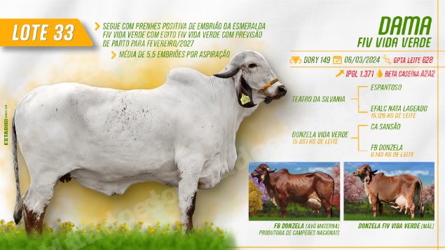 Lote em leilão em Jales/SP - Lote 1