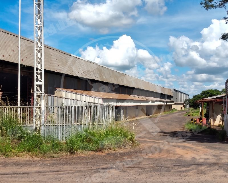 Terreno em leilao em Bassitt/SP