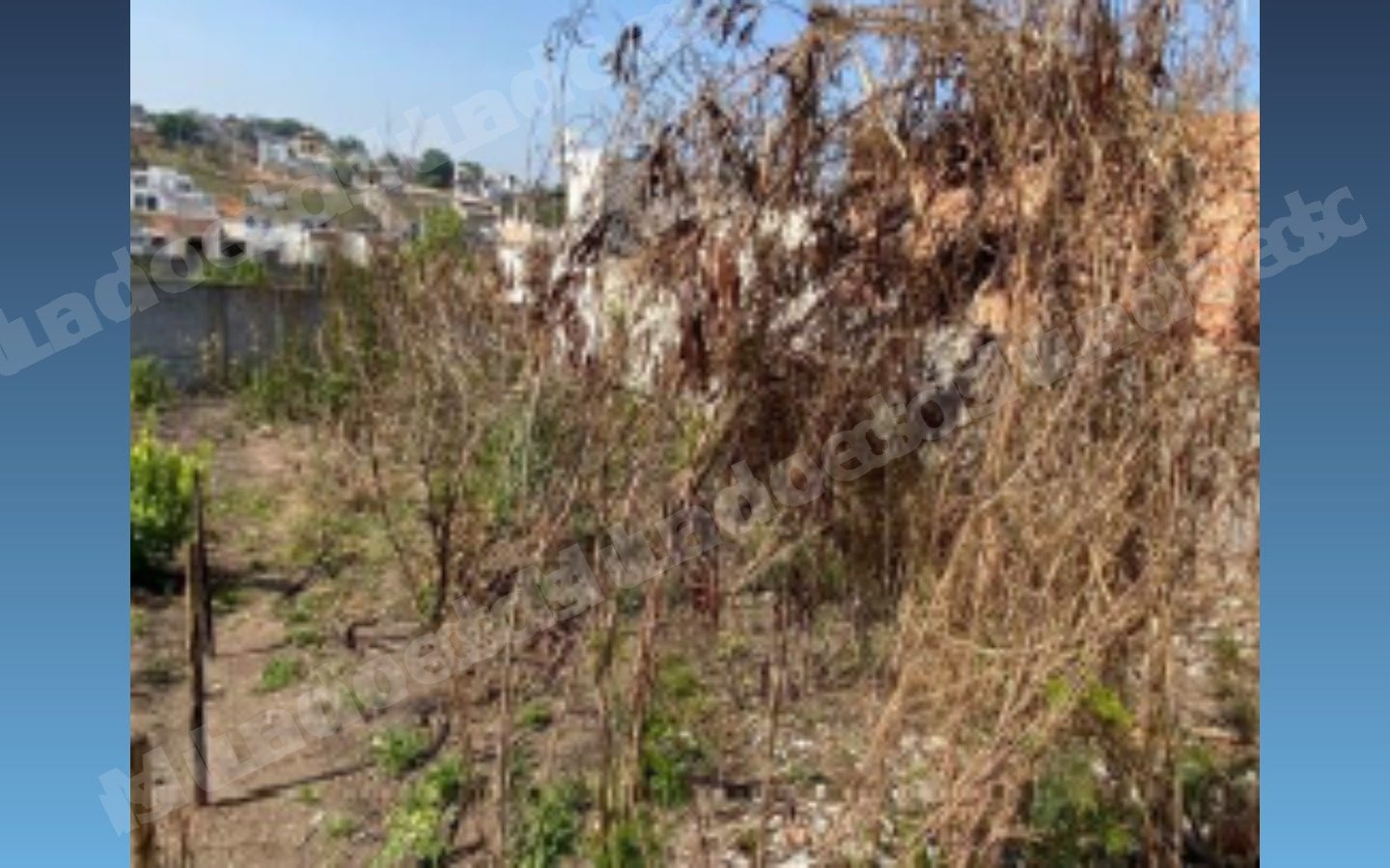Terreno de 390 m2 em leilao em Divinópolis/MG