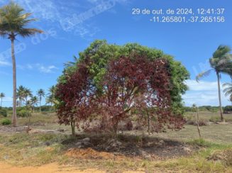 Terreno em leilão em Dajuda/SE