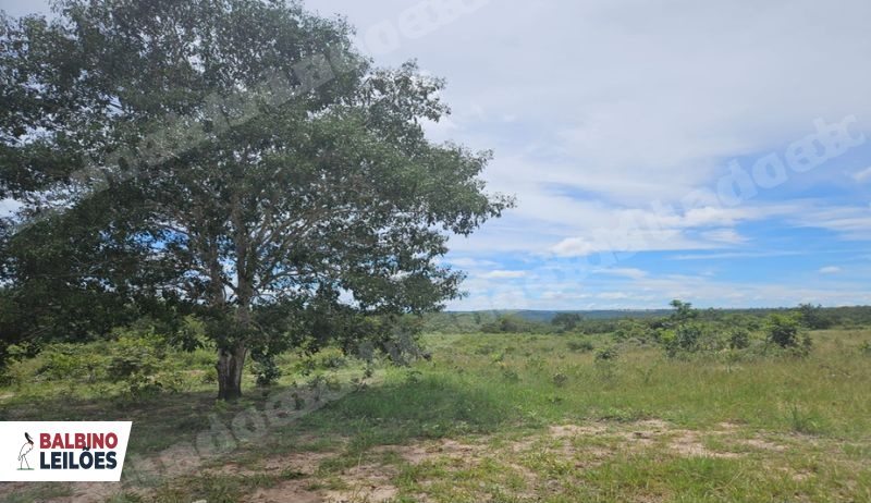 Terreno em leilao em Guiratinga/MT