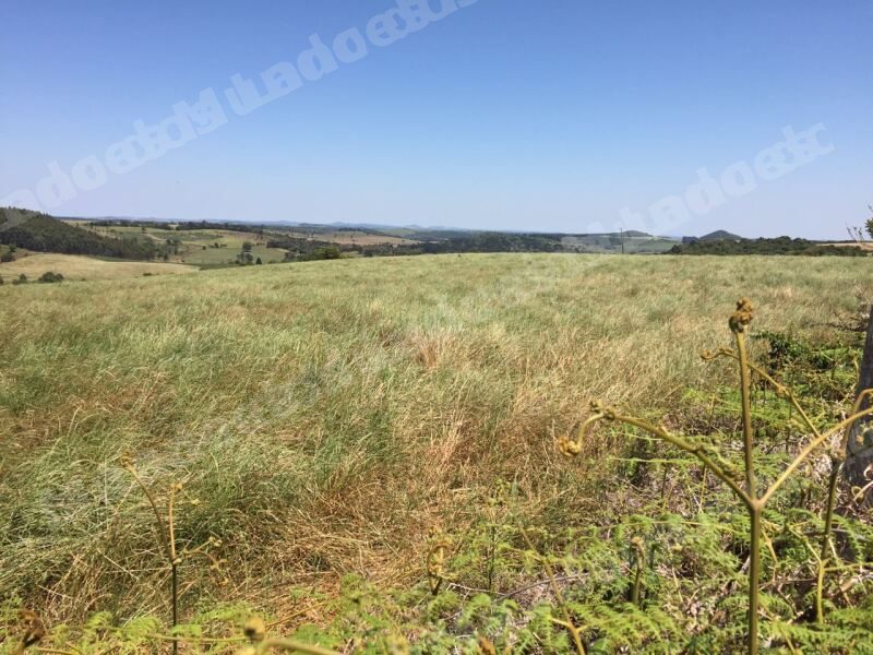 Imóvel em leilão em Brasil - Lote 134