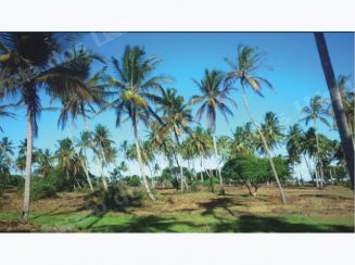 Terreno em leilao em Caravelas/BA