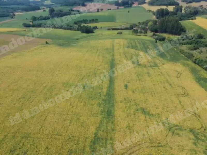 Terreno de 8411 m2 em leilão em Áurea/RS