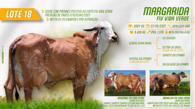 Lote em leilão em Jales/SP - Lote 2