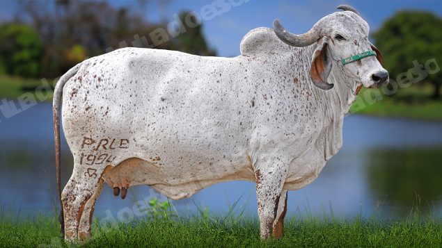 Lote em leilao em Carmo da Mata/MG