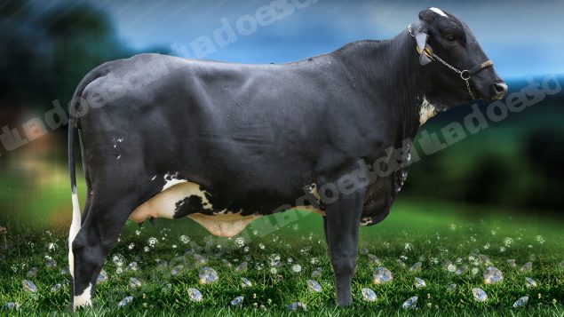 Lote em leilão em Brasil - Lote 1