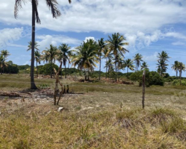 Terreno de 300 m2 em leilao em Itaporanga D'ajuda/SE