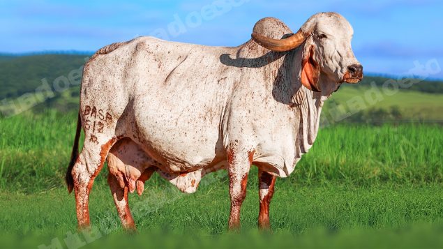 Lote em leilao em Álvares Florence/SP