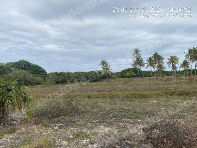 Terreno em leilao em As Condições Aplicáveis À Aquisição/SE