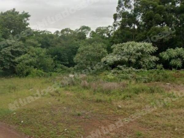 Terreno em leilao em Braga/RS