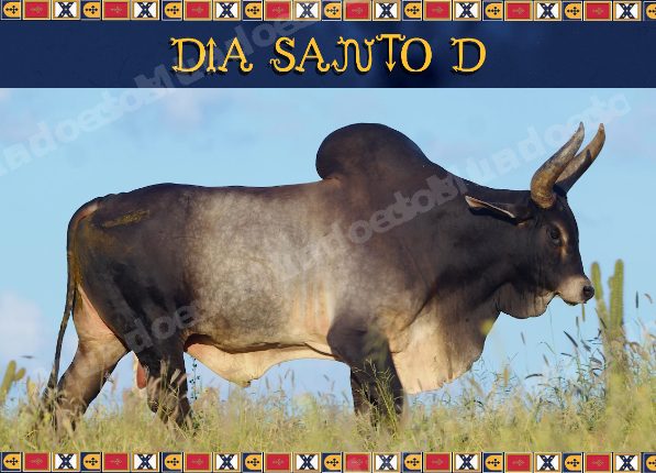Lote em leilao em Brasil