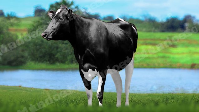 Lote em leilão em Brasil
