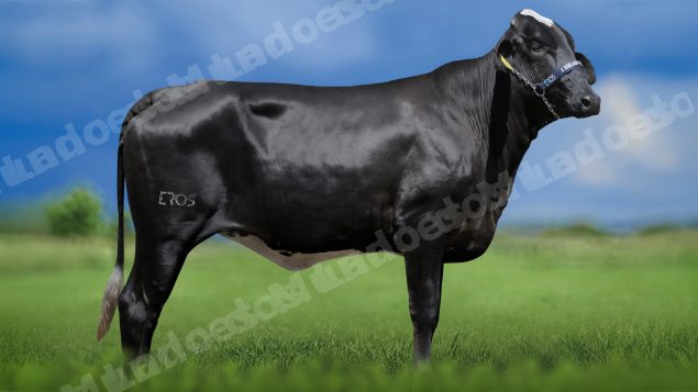 Lote em leilao em Igaratinga/MG - Lote 1