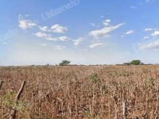 Imovel rural em leilao em Jussara/BA