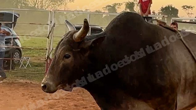 Lote em leilao em Sabino/SP