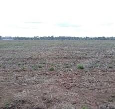 Terreno em leilão em Brasil - Lote 31