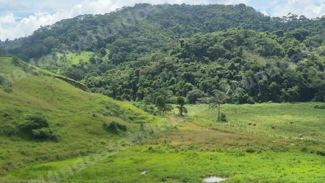 Imovel em leilao em Ponte Nova/MG