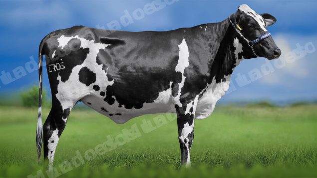 Lote em leilao em Igaratinga/MG - Lote 2