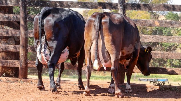Lote em leilao em Cristalina/GO