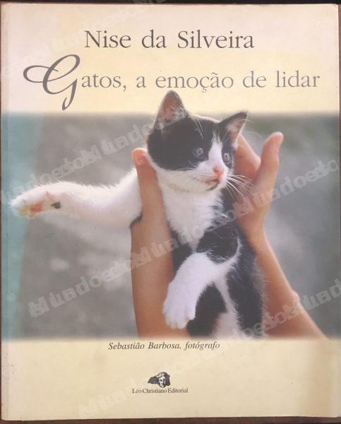 Lote em leilao em Brasil