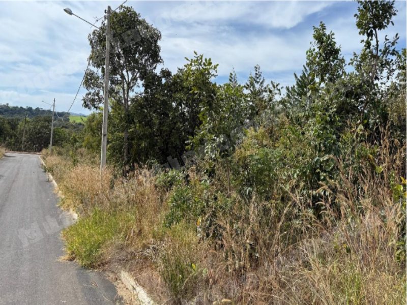 Terreno em leilao em Às Margens da/GO