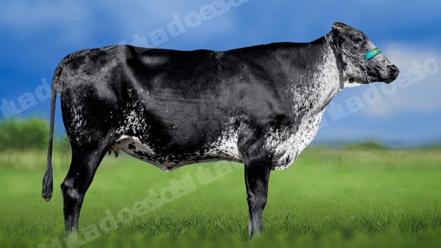Lote em leilao em Miradouro/MG