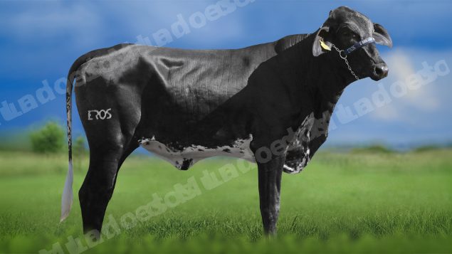 Lote em leilao em Igaratinga/MG - Lote 3