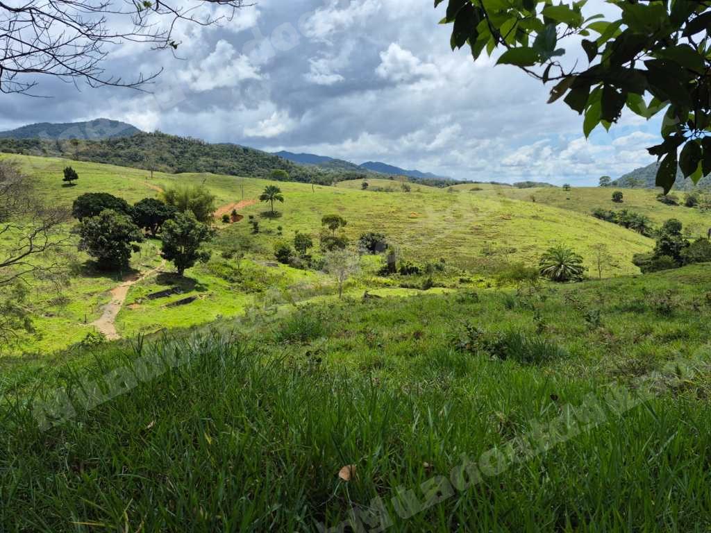 Imovel rural em leilao em BA