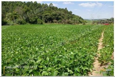 Terreno em leilao em Redentora/RS