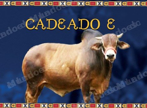 Lote em leilao em Brasil