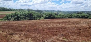 Terreno em leilao em Brasil