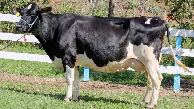 Lote em leilao em Silveiras/SP