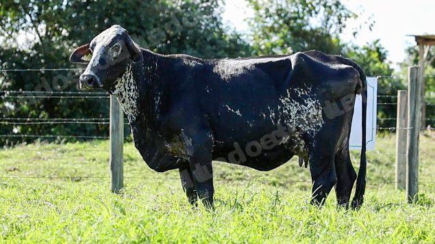 Terreno em leilao em Cachoeiras de Macacu/RJ