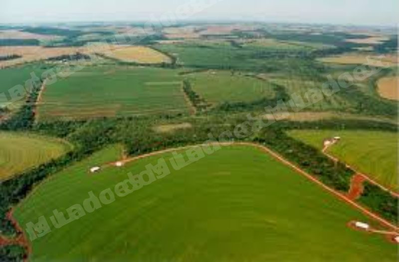 Terreno em leilao em Fraiburgo/SC - Lote 1