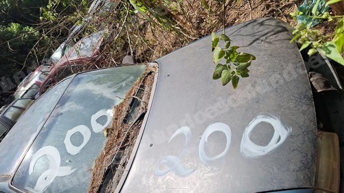 Gm em leilao em Campos do Jordão/SP