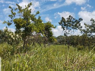 Terreno em leilao em Luziania/GO