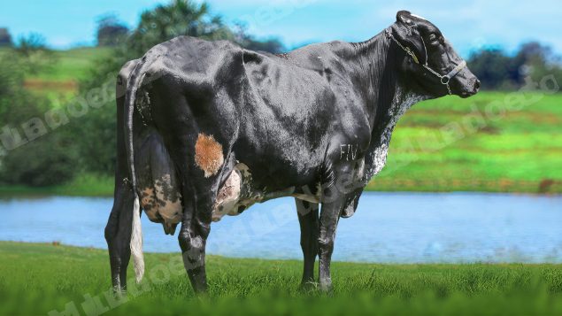 Lote em leilão em Brasil