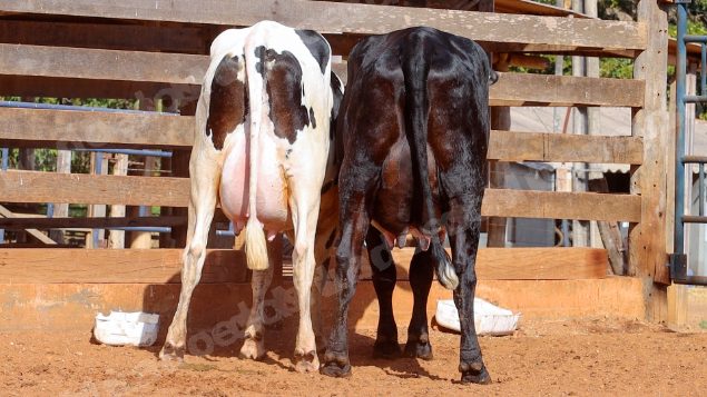 Lote em leilao em Cristalina/GO