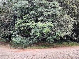Terreno em leilao em Passo Fundo/RS