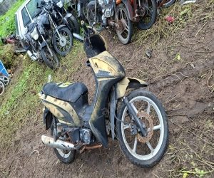 Lote em leilao em Brasil
