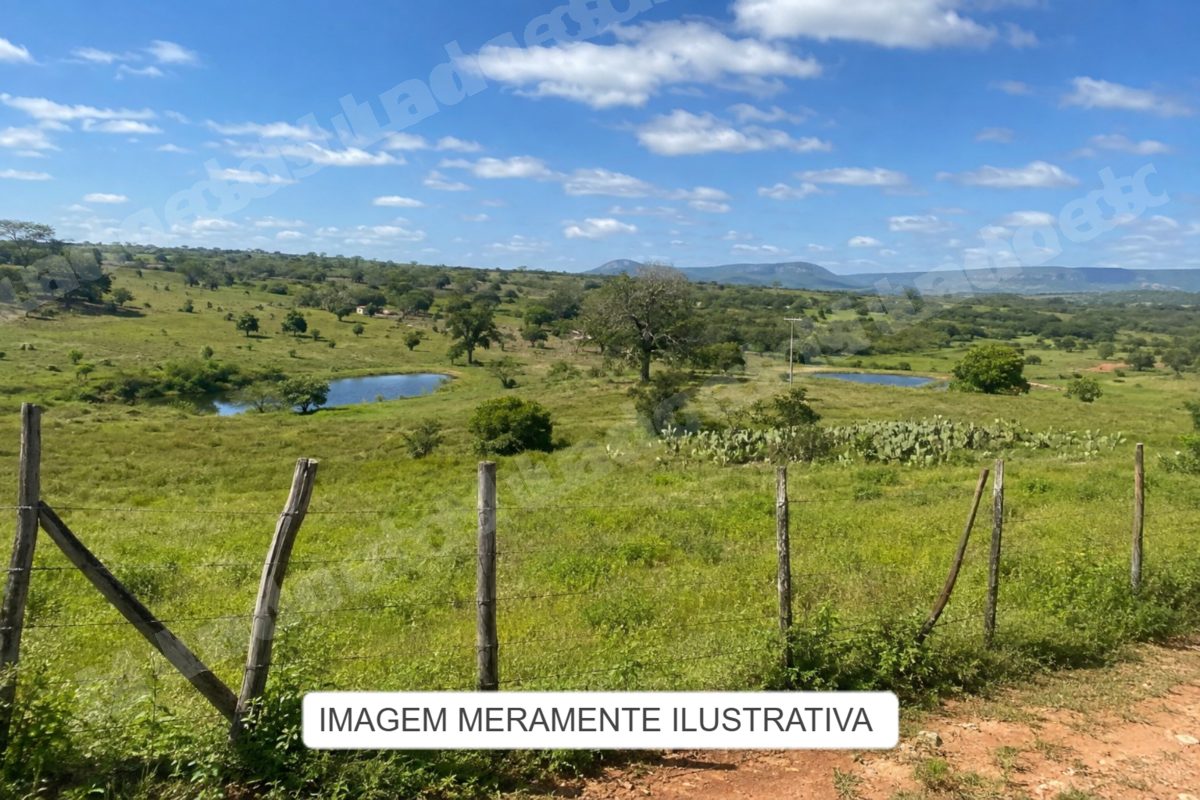 Terreno em leilao em Brasil - Lote 61