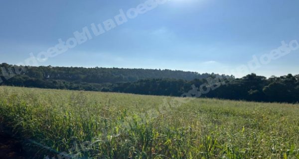 Imovel em leilao em Cantagalo/PR