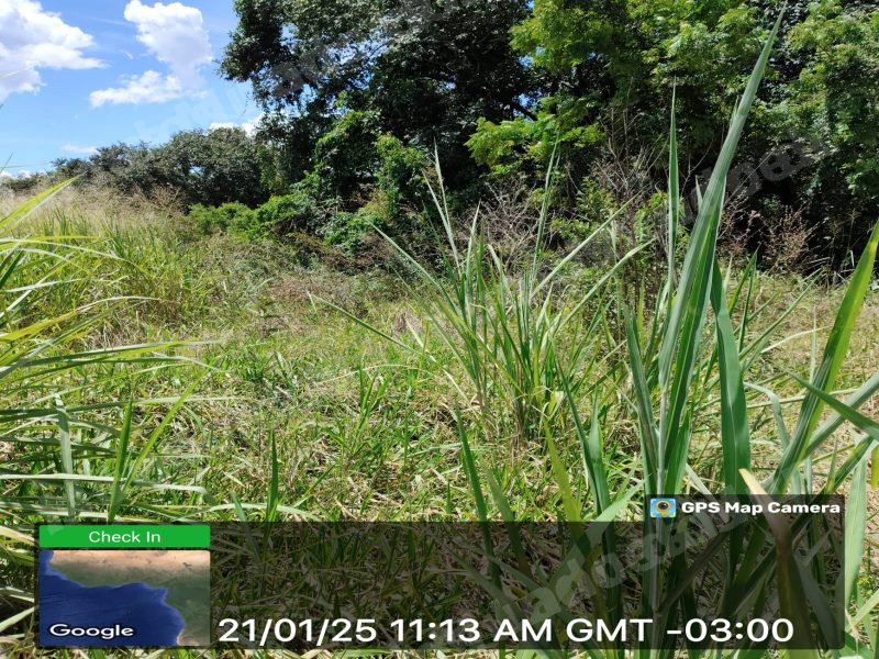Terreno em leilao em As Condições Aplicáveis À Aquisição/SP