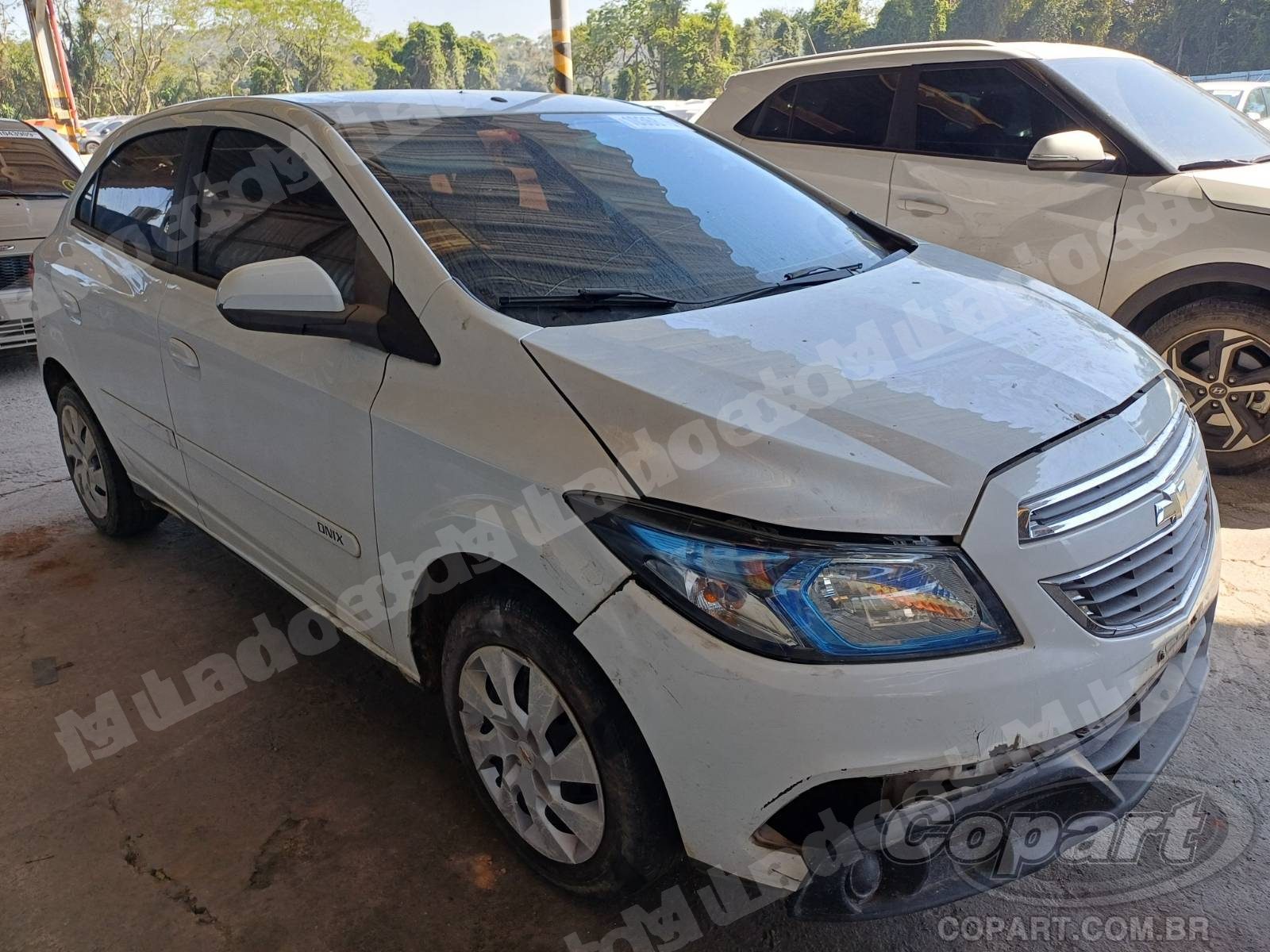 Lote em leilao em Embú das Artes/SP