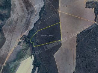 Imovel rural em leilao em Goias/GO