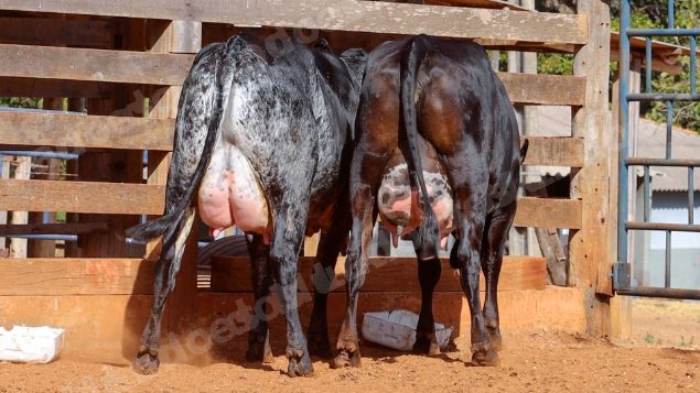 Lote em leilao em Cristalina/GO