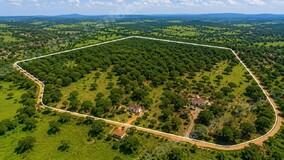 Imovel rural em leilao em Tianguá/CE
