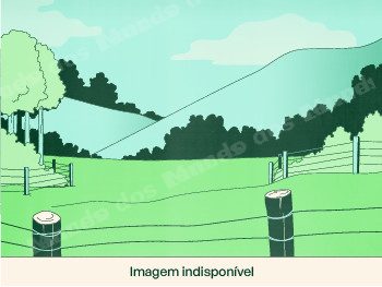 Terreno em leilão em Espigão D'oeste/RO