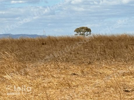 Imovel rural em leilao em Fazenda Em Mutunópolis/GO
